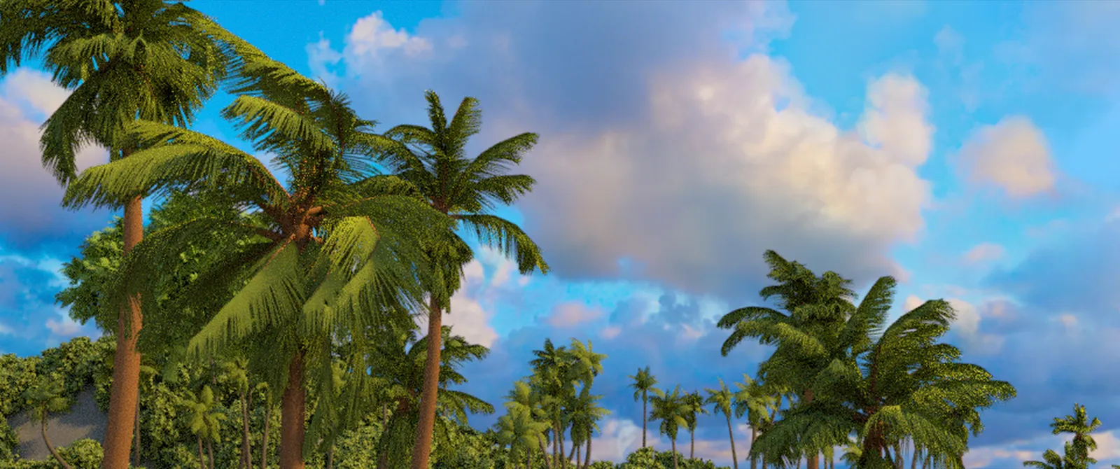 Render C: the same palms, sky and undergrowth, again with no visible difference.